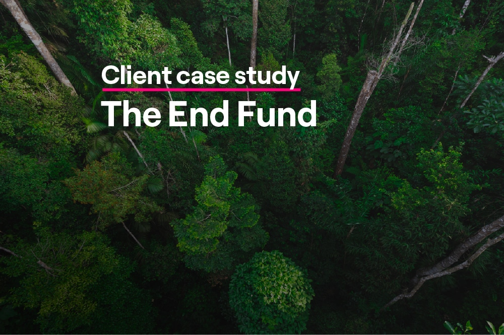 client case study: the end fund